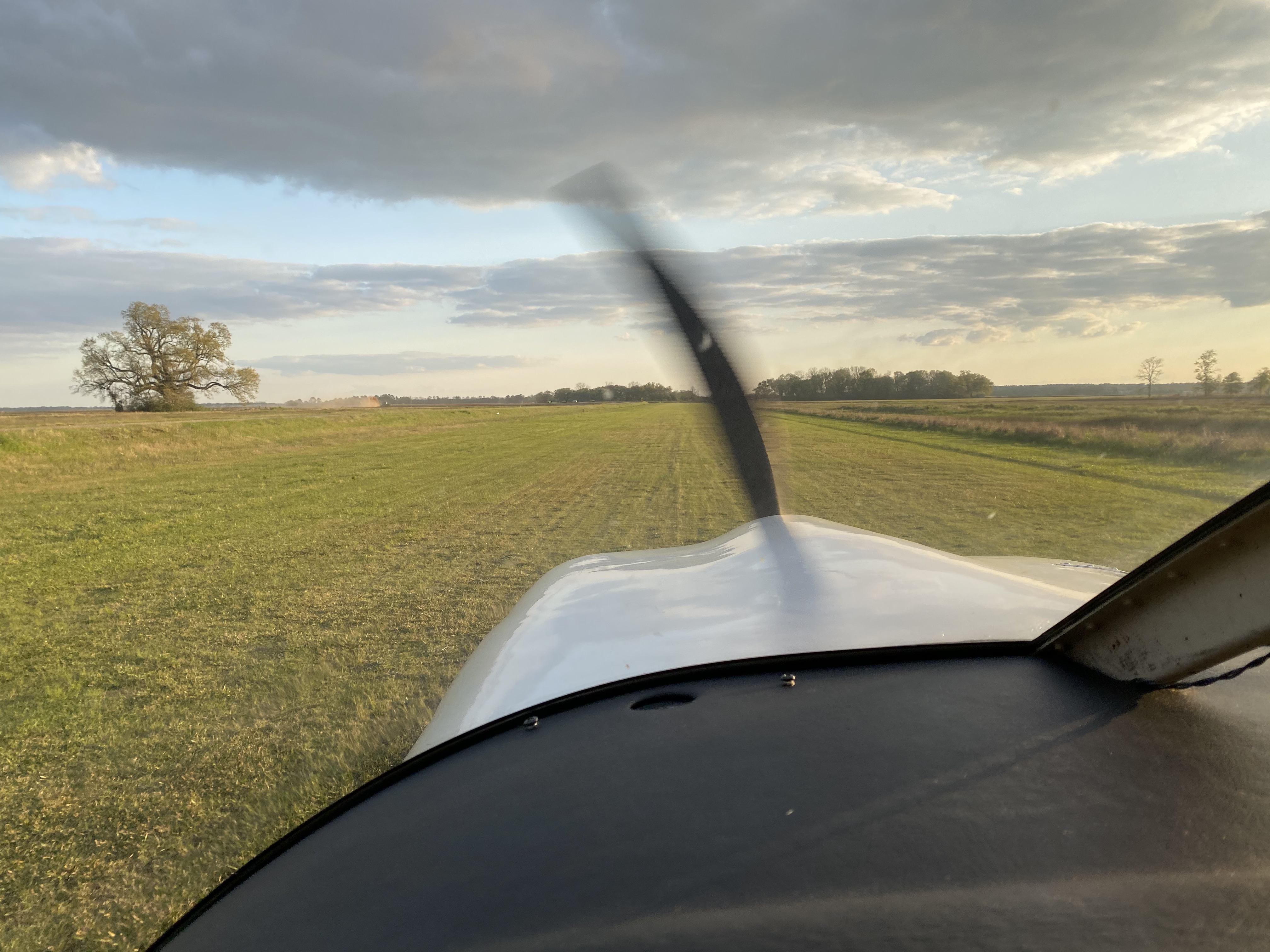 grass strip